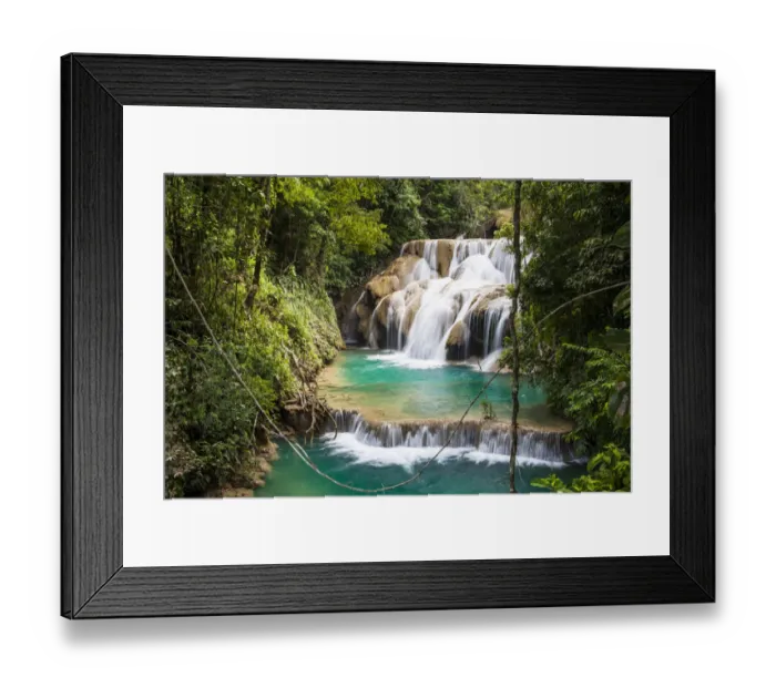 Framed Print : Las Golondrinas Waterfalls, Montes Azules Biosphere Reserve, Chiapas. Mexico, March 2017 Framed Print : Las Golondrinas Waterfalls, Montes Azules Biosphere Reserve, Chiapas. Mexico, March 2017