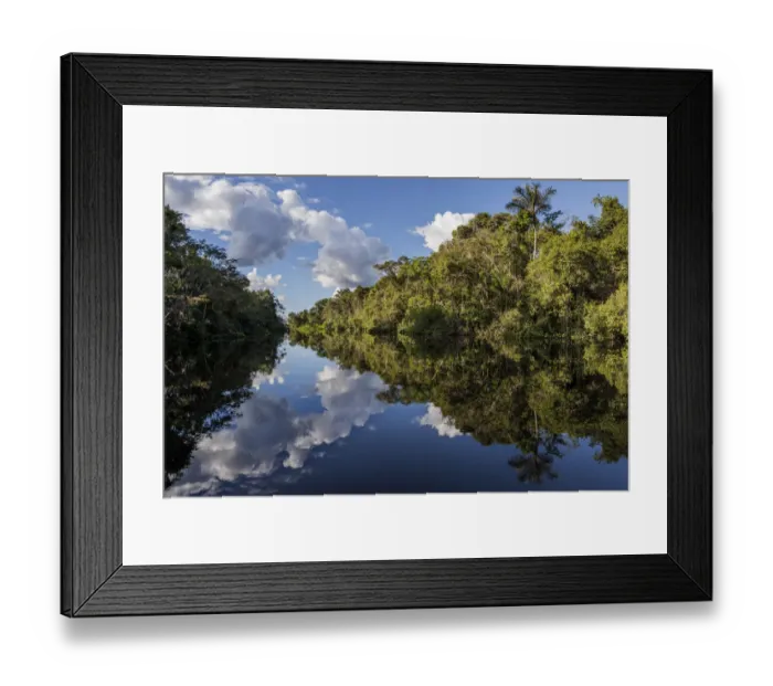Framed Print : River in Amazon rainforest with reflections in water, Cuyabeno National Park, Sucumbios Framed Print : River in Amazon rainforest with reflections in water, Cuyabeno National Park, Sucumbios