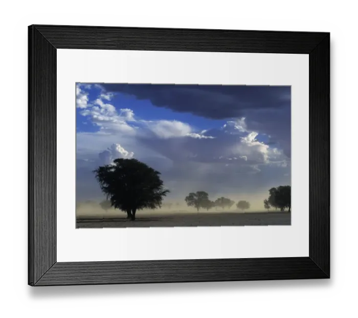 Framed Print : Dust storm Kalahari Gemsbok NP South Africa, summer Framed Print : Dust storm Kalahari Gemsbok NP South Africa, summer