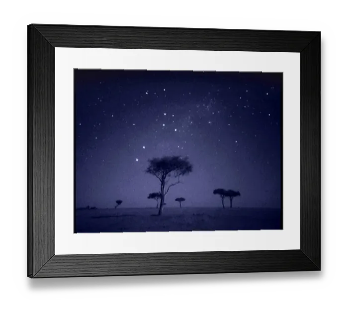 Framed Print : The Southern Cross star constellation shining above Ballenites trees in Masai Mara, Kenya Framed Print : The Southern Cross star constellation shining above Ballenites trees in Masai Mara, Kenya