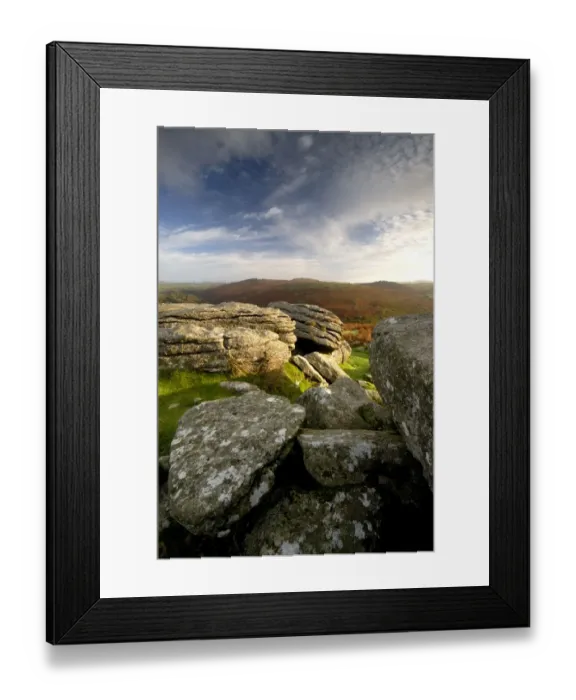 Framed Print : Granite rock outcrops, Combestone Tor, Dartmoor National Park, Devon. UK November 2006 Framed Print : Granite rock outcrops, Combestone Tor, Dartmoor National Park, Devon. UK November 2006