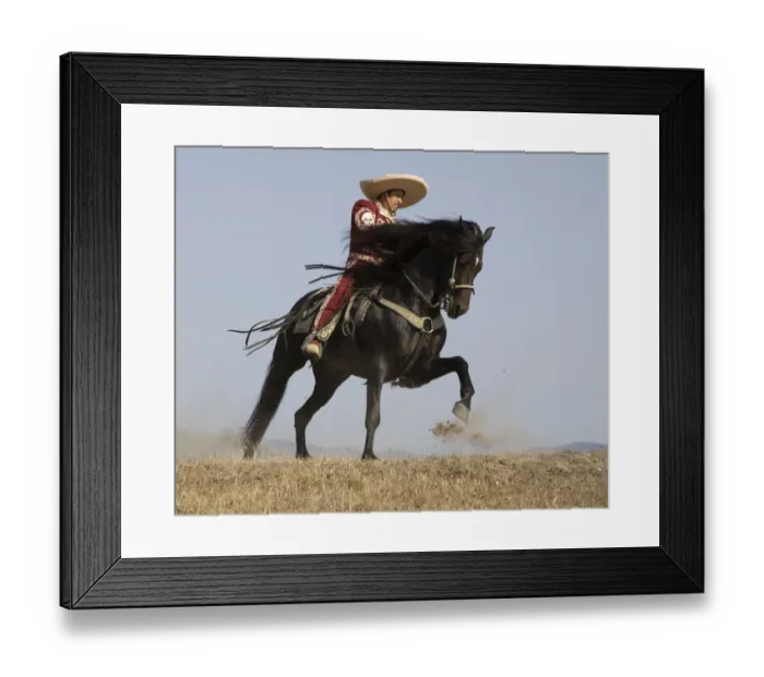 Framed Print : Charro on a Black Andalusian stallion galloping in Ojai, California, USA, model released Framed Print : Charro on a Black Andalusian stallion galloping in Ojai, California, USA, model released