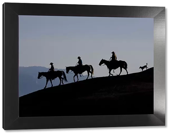 Silhouette of three cowboys and a dog riding down a ridge, Flitner Ranch, Shell, Wyoming