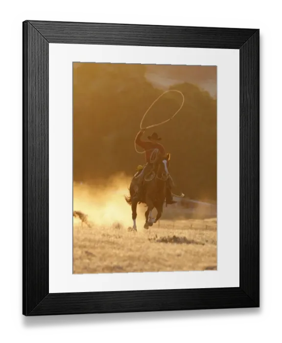 Framed Print : Cowboy galloping while swinging a rope lassoo at sunset, Flitner Ranch, Shell, Wyoming Framed Print : Cowboy galloping while swinging a rope lassoo at sunset, Flitner Ranch, Shell, Wyoming