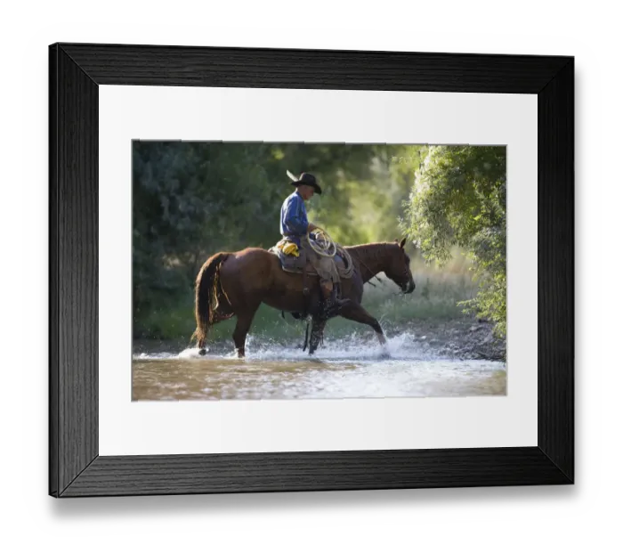 Framed Print : Cowboy riding through stream, Flitner Ranch, Shell, Wyoming, USA, model released Framed Print : Cowboy riding through stream, Flitner Ranch, Shell, Wyoming, USA, model released