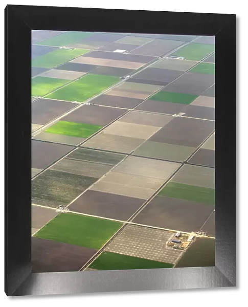 Aerial view of cultivated farmland in strips, Seville, Spain