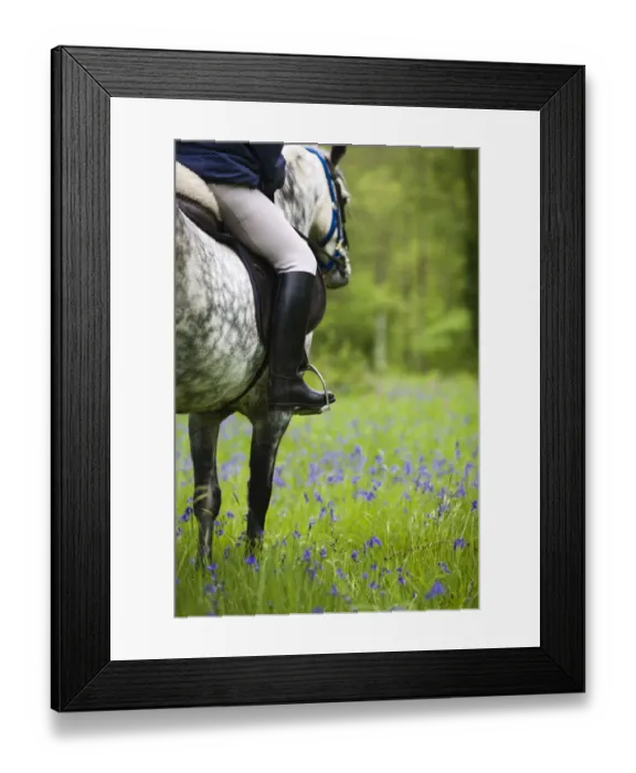Framed Print : Horse and rider trekking through bluebell wood Brecon Beacons National Park, Powys Framed Print : Horse and rider trekking through bluebell wood Brecon Beacons National Park, Powys