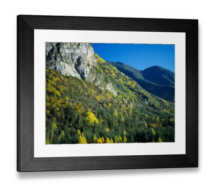 Framed Print : Autumnal trees and a rocky outcrop in Sierra del Balcon. Valley de Ordesa Natural Park Framed Print : Autumnal trees and a rocky outcrop in Sierra del Balcon. Valley de Ordesa Natural Park