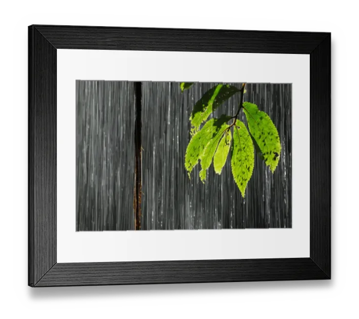 Framed Print : Water falling down waterfall in rainforest, Dorringo National Park, New South Wales Framed Print : Water falling down waterfall in rainforest, Dorringo National Park, New South Wales