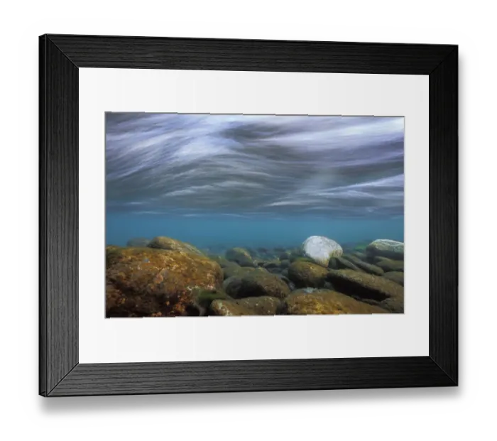 Framed Print : Underwater landscape in Aare river, Canton of Berne, Switzerland, January Framed Print : Underwater landscape in Aare river, Canton of Berne, Switzerland, January
