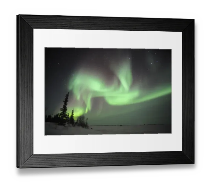 Framed Print : Northern lights (Aurora borealis) Northwest territories, March 2008, Canada Framed Print : Northern lights (Aurora borealis) Northwest territories, March 2008, Canada