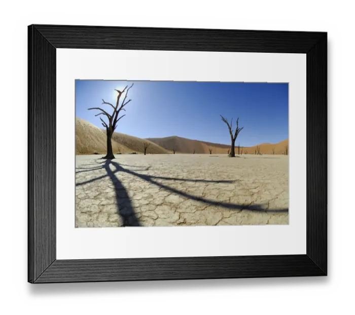 Framed Print : 5000 year old tree stumps in Deadvlei dried up salt pan, with red Sossusvlei sand