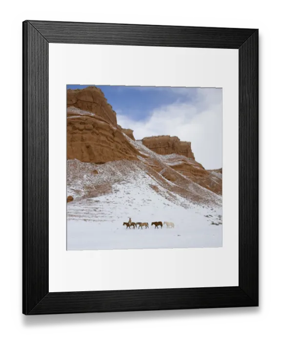 Framed Print : Cowboy leading Quarter horses pack train in the snow at Flitner Ranch, Shell, Wyoming, USA Framed Print : Cowboy leading Quarter horses pack train in the snow at Flitner Ranch, Shell, Wyoming, USA