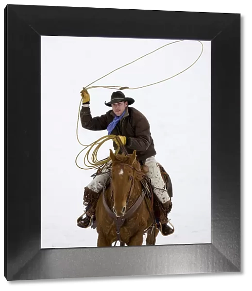 Cowboy riding in snow throwing a loop, Flitner Ranch, Shell, Wyoming, USA Model released