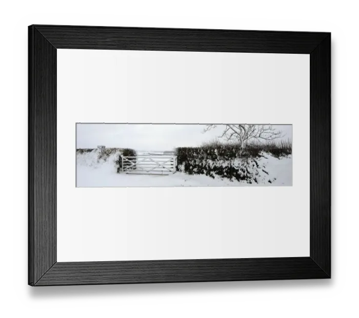 Framed Print : Panoramic view of a hedge and field gate after snowfall, near Bradworthy, Devon, UK Framed Print : Panoramic view of a hedge and field gate after snowfall, near Bradworthy, Devon, UK