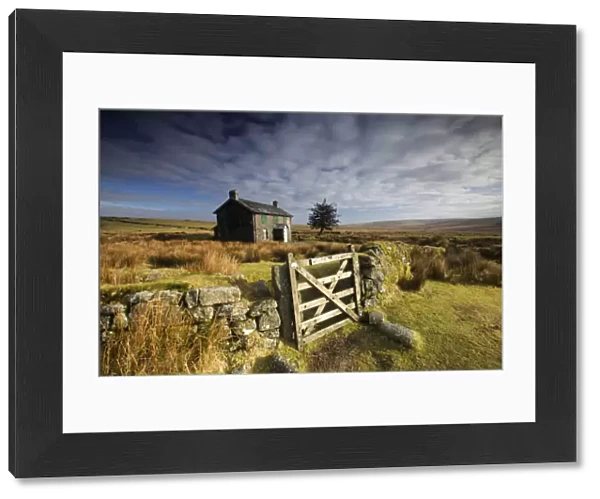 Moorland view of Nuns Cross Farm, dry stone wall and gate, Dartmoor, Devon, UK