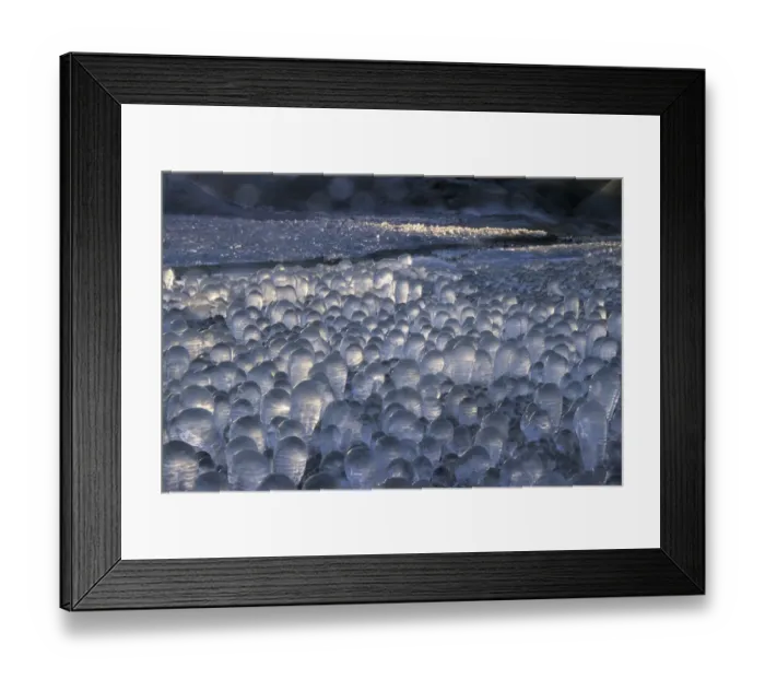 Framed Print : Frost covered grass, Reykajanes Peninsula, Iceland 2005