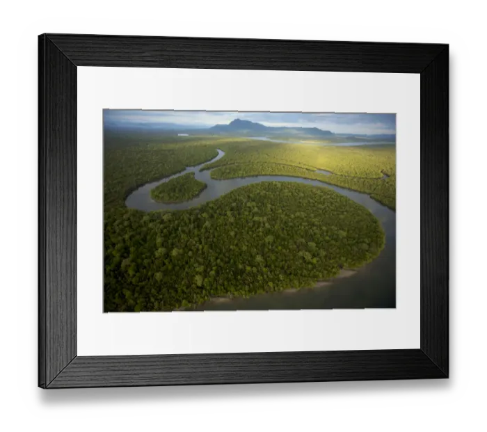 Framed Print : Aerial view of rivers and mangrove forest. Sarawak Mangrove Reserve, Sarawak, Borneo, Malaysia Framed Print : Aerial view of rivers and mangrove forest. Sarawak Mangrove Reserve, Sarawak, Borneo, Malaysia