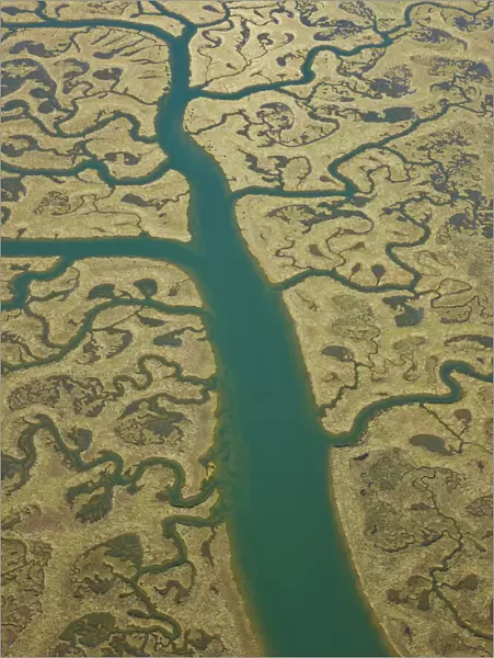 Aerial view of river tributaries, saltmarsh and coast, Punta Umbria, Costa de la Luz