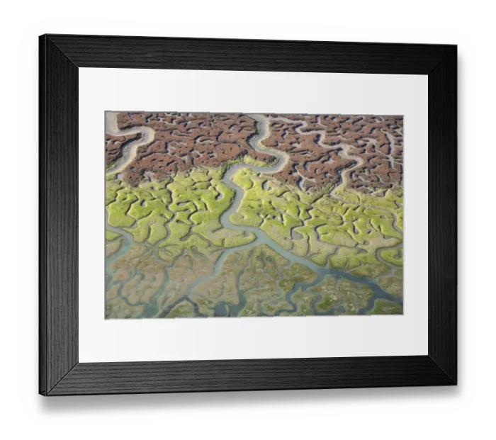 Framed Print : Aerial view of the Bay of Cadiz delta, Puerto de Santa Mara, Cdiz, Spain Framed Print : Aerial view of the Bay of Cadiz delta, Puerto de Santa Mara, Cdiz, Spain