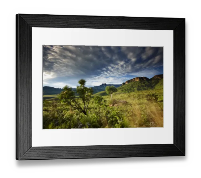 Framed Print : The Ampitheatre, Royal Natal National Park, Drakensberg Mountains, KwaZuluNatal Framed Print : The Ampitheatre, Royal Natal National Park, Drakensberg Mountains, KwaZuluNatal
