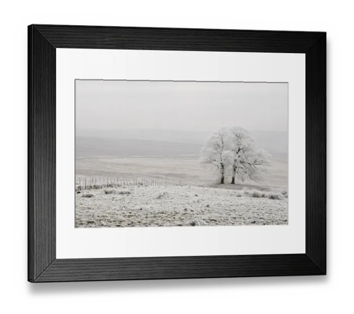 Framed Print : Hoar frost covering landscape, Peak District, UK, New years day 2009 Framed Print : Hoar frost covering landscape, Peak District, UK, New years day 2009