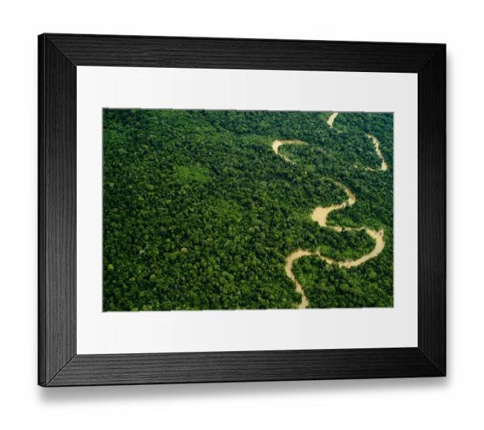 Framed Print : Aerial view of Amazon rainforest with river, Peru Framed Print : Aerial view of Amazon rainforest with river, Peru