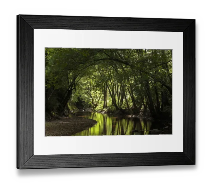 Framed Print : Stream in Guilleries-Savassona Natural Park. Barcelona, Catalonia, Spain Framed Print : Stream in Guilleries-Savassona Natural Park. Barcelona, Catalonia, Spain