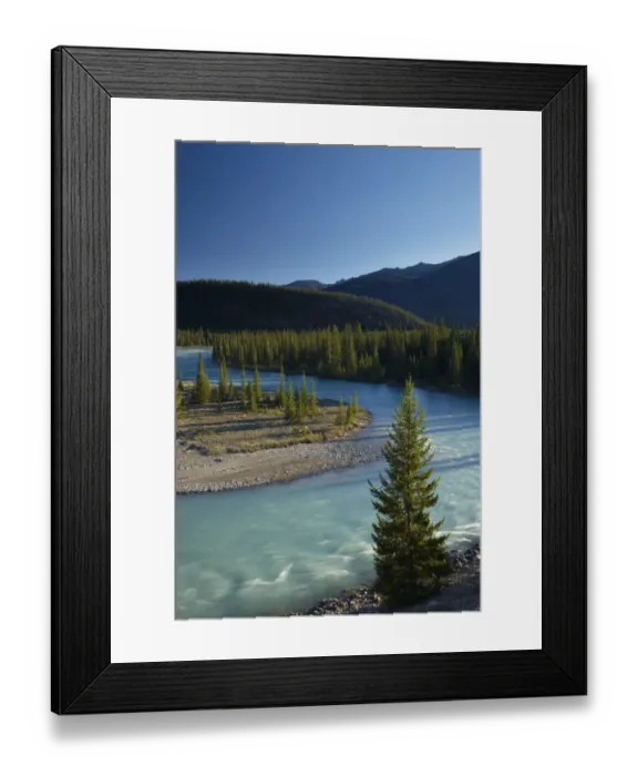 Framed Print : Athabasca River near Jasper, Jasper National Park, Alberta, Canada. September 2009 Framed Print : Athabasca River near Jasper, Jasper National Park, Alberta, Canada. September 2009