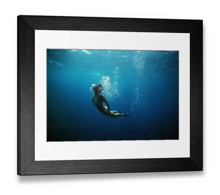 Framed Print : Free diver coming up from dive to explore coral reef, Sinai, Egypt, Red Sea Model Framed Print : Free diver coming up from dive to explore coral reef, Sinai, Egypt, Red Sea Model