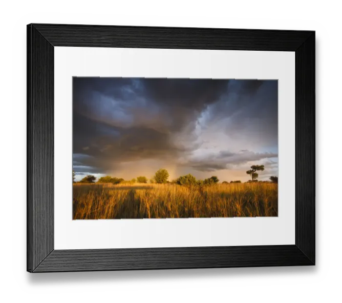 Framed Print : Clouds during the rainy season in the Kalahari Desert, Botswana, March 2009 Framed Print : Clouds during the rainy season in the Kalahari Desert, Botswana, March 2009