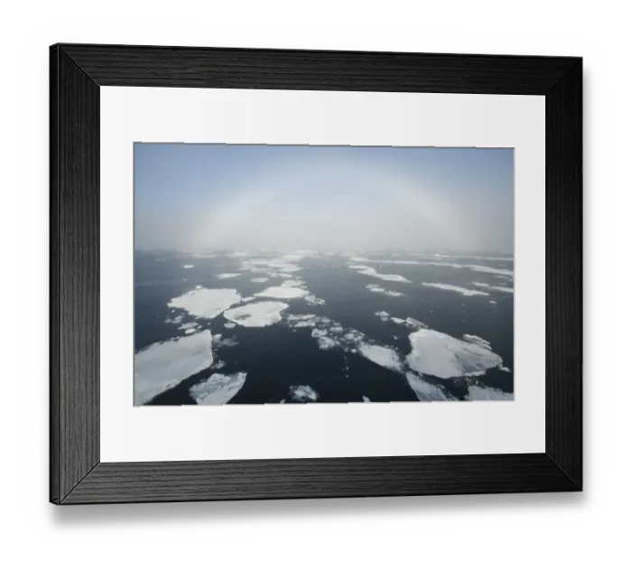 Framed Print : Fogbow over pack ice, Svalbard, Arctic Norway 2010