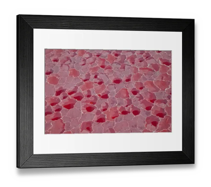 Framed Print : Aerial view of Lake Natron, Rift Valley, Tanzania, Africa, August 2009 Framed Print : Aerial view of Lake Natron, Rift Valley, Tanzania, Africa, August 2009