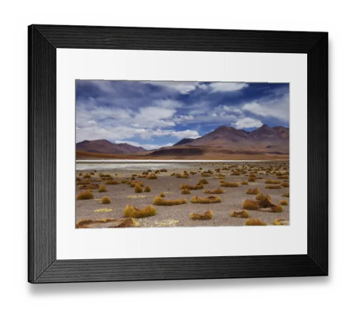 Framed Print : The remote region of high desert, altiplano and volcanoes near Tapaquilcha, Bolivia