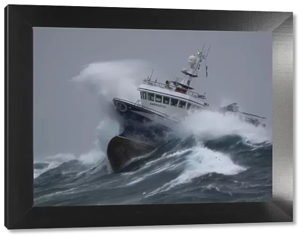 Fishing vessel Harvester powering through huge waves while operating in the North Sea