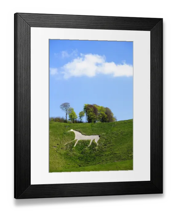 Framed Print : Cherhill white horse, first cut into chalk downland in 1780, Wiltshire, UK, spring 2009 Framed Print : Cherhill white horse, first cut into chalk downland in 1780, Wiltshire, UK, spring 2009