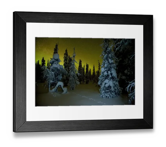 Framed Print : Beginnings of the Northern lights in night sky in winter with conifer trees laden with snow Framed Print : Beginnings of the Northern lights in night sky in winter with conifer trees laden with snow