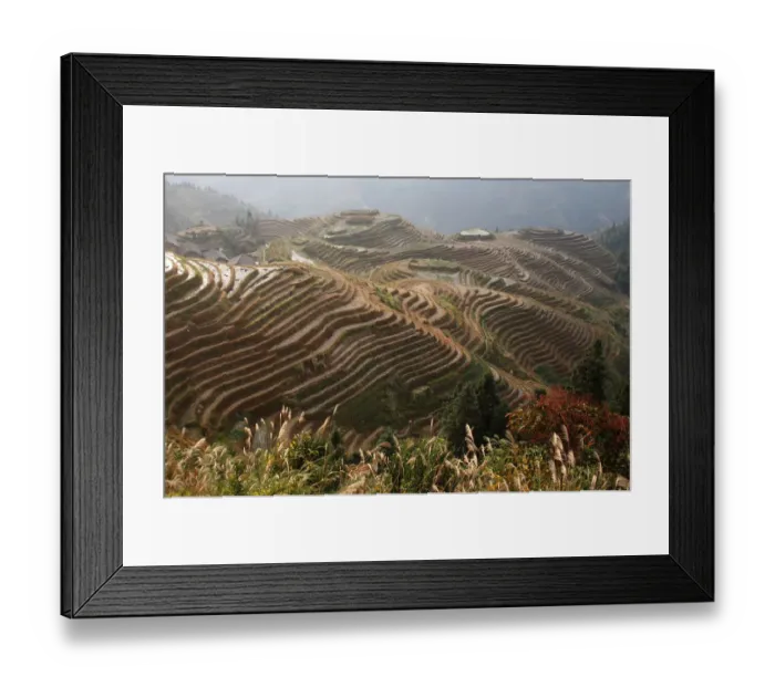 Framed Print : Rice-growing fields on hillside terraces, in use since the Yuan dynasty (about 13th century) Framed Print : Rice-growing fields on hillside terraces, in use since the Yuan dynasty (about 13th century)