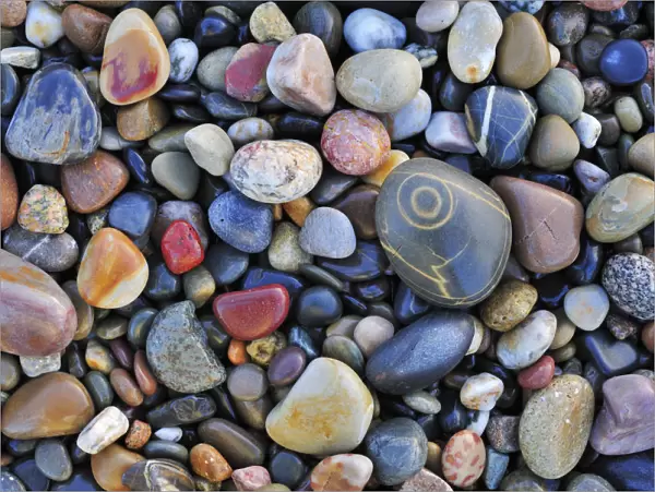 Colourful water-smoothed pebbles on shingle beach. Normandy, France, October 2010