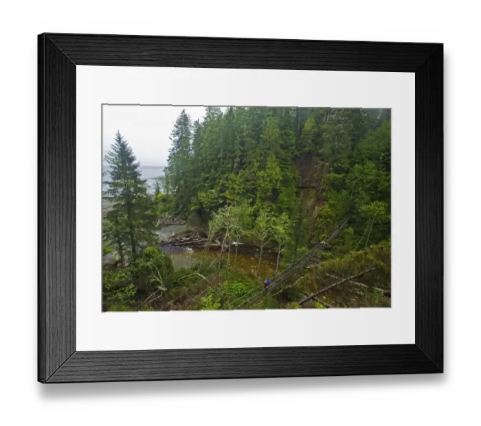 Framed Print : Hikers crossing a thin footbridge over a river. The West Coast Trail, Pacific Rim National Park Framed Print : Hikers crossing a thin footbridge over a river. The West Coast Trail, Pacific Rim National Park