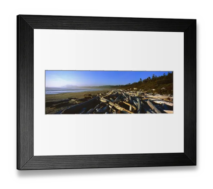 Framed Print : Driftwood on a beach with the coastline stretching to the horizon. Wickaninnish Beach Framed Print : Driftwood on a beach with the coastline stretching to the horizon. Wickaninnish Beach