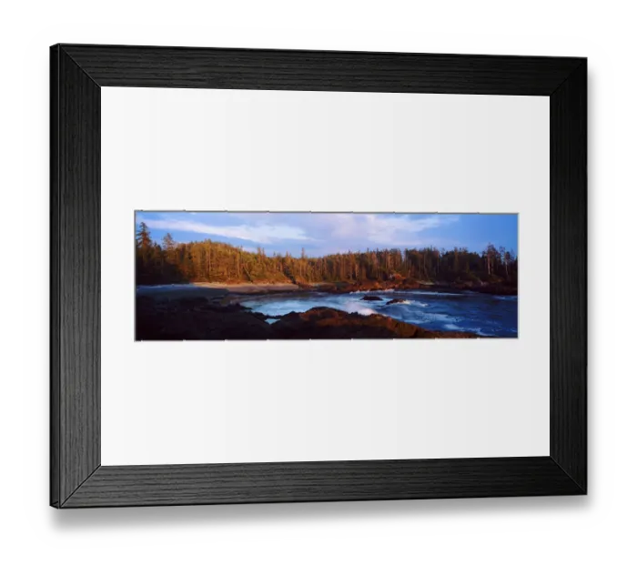 Framed Print : A view of a forested inlet lit by low sunlight. Aggro Beach, west coast of Vancouver Island Framed Print : A view of a forested inlet lit by low sunlight. Aggro Beach, west coast of Vancouver Island