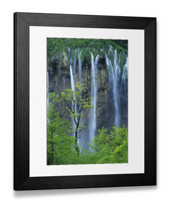 Framed Print : A cascade of waterfalls falling over a cliff in woodlands. Plitvice National Park Framed Print : A cascade of waterfalls falling over a cliff in woodlands. Plitvice National Park