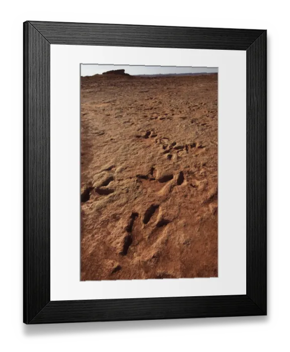 Framed Print : Theropod dinosaur tracks preserved in Lower Jurassic (200 million years old) rock Framed Print : Theropod dinosaur tracks preserved in Lower Jurassic (200 million years old) rock