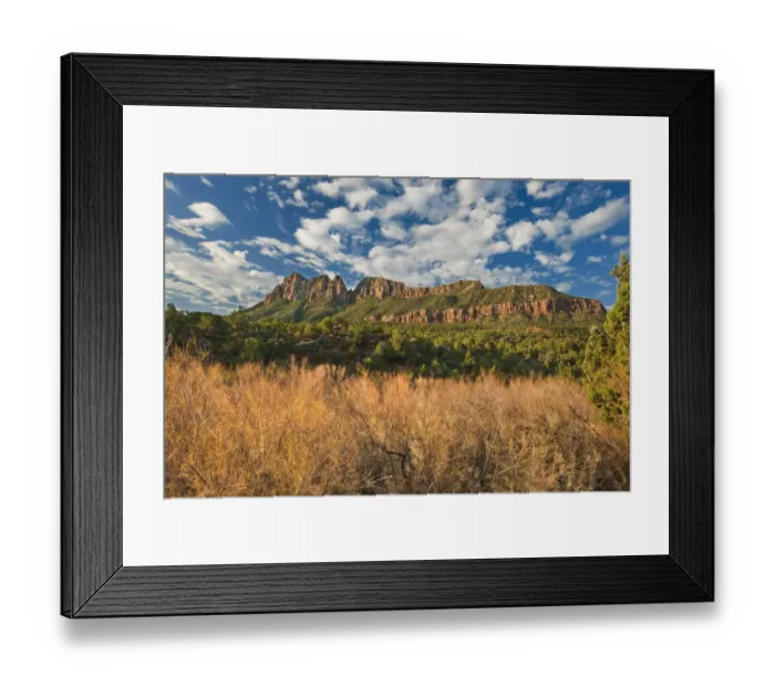 Framed Print : Dried grasses and red rock geological formations along the Smithsonian Butte National Scenic byway Framed Print : Dried grasses and red rock geological formations along the Smithsonian Butte National Scenic byway