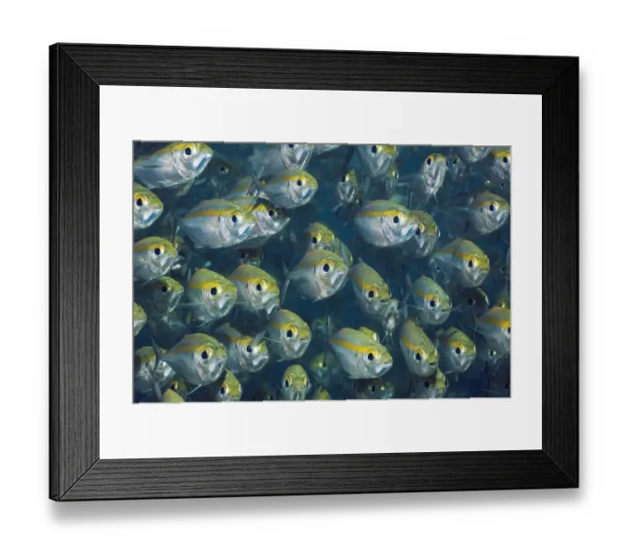 Framed Print : Bigeye Scad (Selarcrumenophthalmus). Misool, Raja Ampat, West Papua, Indonesia Framed Print : Bigeye Scad (Selarcrumenophthalmus). Misool, Raja Ampat, West Papua, Indonesia