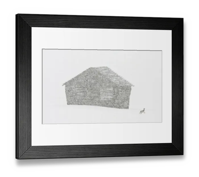 Framed Print : Brown hare (Lepus europaeus) running past hay barn in snow storm, Lapua, Finland, March Framed Print : Brown hare (Lepus europaeus) running past hay barn in snow storm, Lapua, Finland, March
