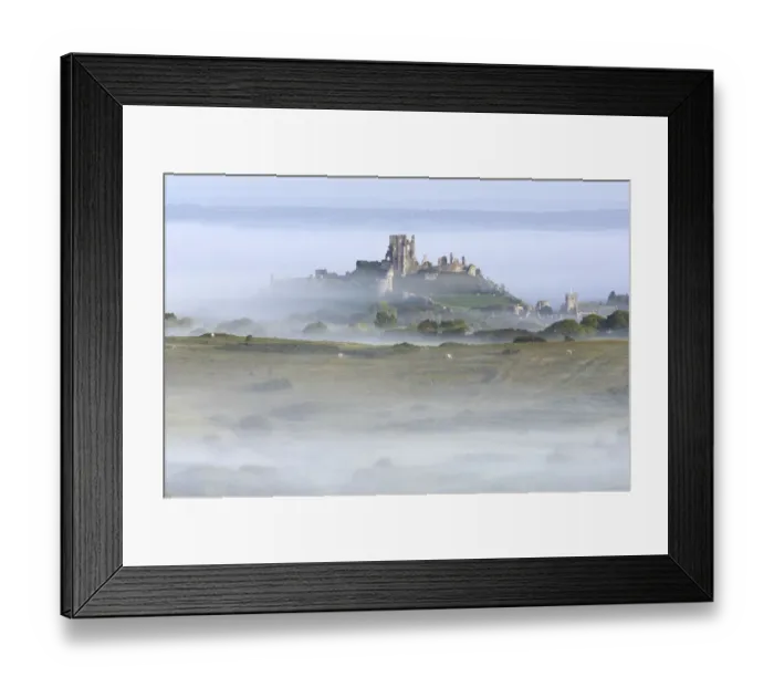 Framed Print : Corfe Castle rising out of mist, viewed from Kingstone, Purbeck, Dorset, UK, September Framed Print : Corfe Castle rising out of mist, viewed from Kingstone, Purbeck, Dorset, UK, September
