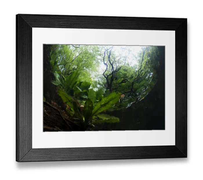Framed Print : An underwater view of a woodland stream, River Glaslyn, Snowdonia NP, Gwynedd, Wales Framed Print : An underwater view of a woodland stream, River Glaslyn, Snowdonia NP, Gwynedd, Wales