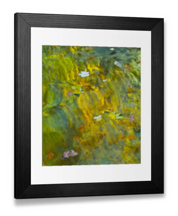 Framed Print : Leaves floating on water with colourful reflections, Plitvice Lakes National Park